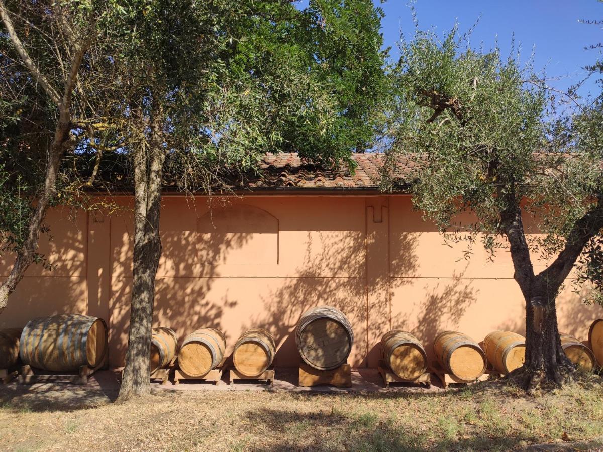 Agriturismo Podere Borgaruccio Peccioli Exterior foto
