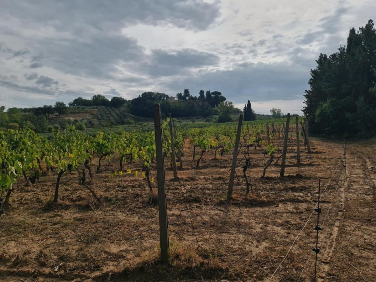 Agriturismo Podere Borgaruccio Peccioli Exterior foto