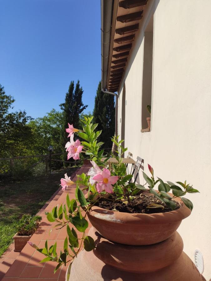 Agriturismo Podere Borgaruccio Peccioli Exterior foto