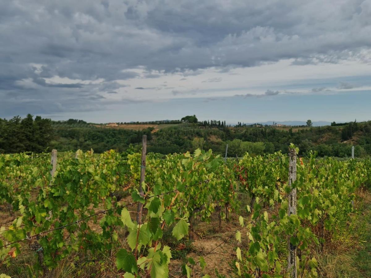 Agriturismo Podere Borgaruccio Peccioli Exterior foto