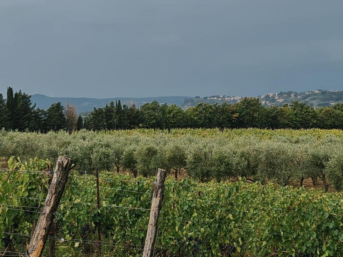 Agriturismo Podere Borgaruccio Peccioli Exterior foto